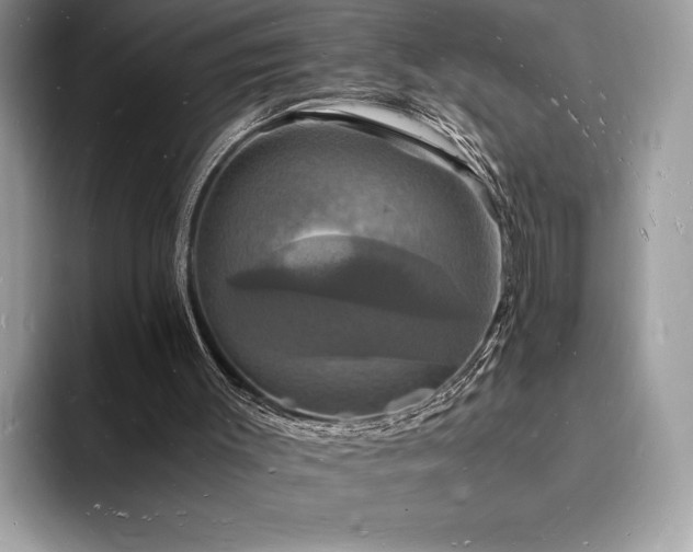 X0000094060003200710191110
