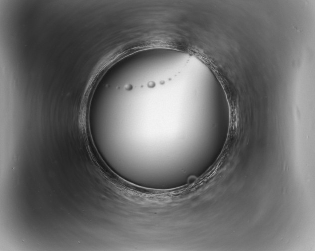 X0000094060004200710191110