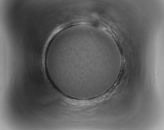 X0000094060006200710191110