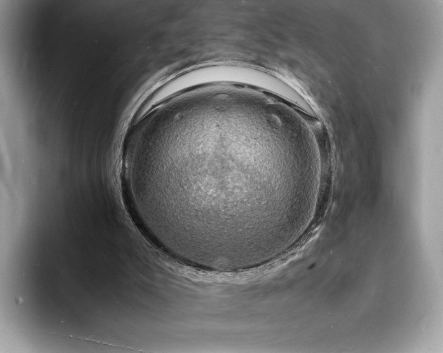 X0000094060007200710191110