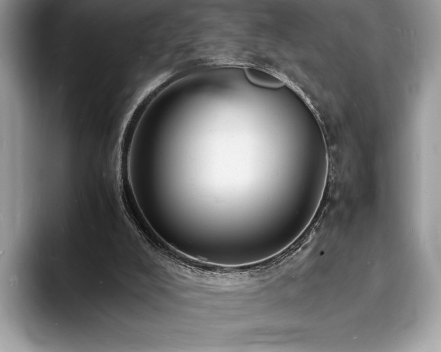 X0000094060008200710191110
