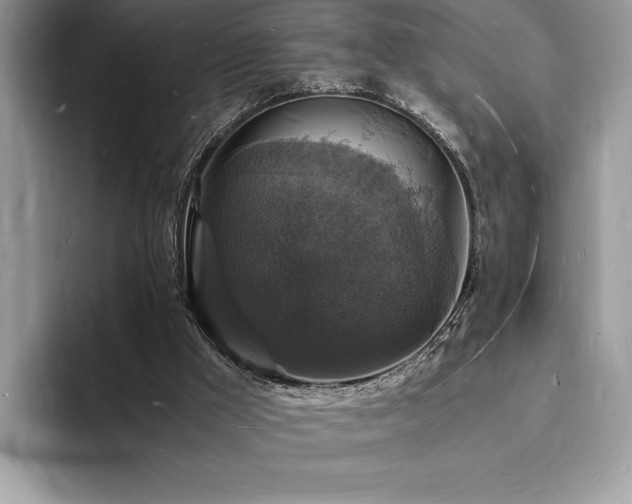 X0000094060009200710191110