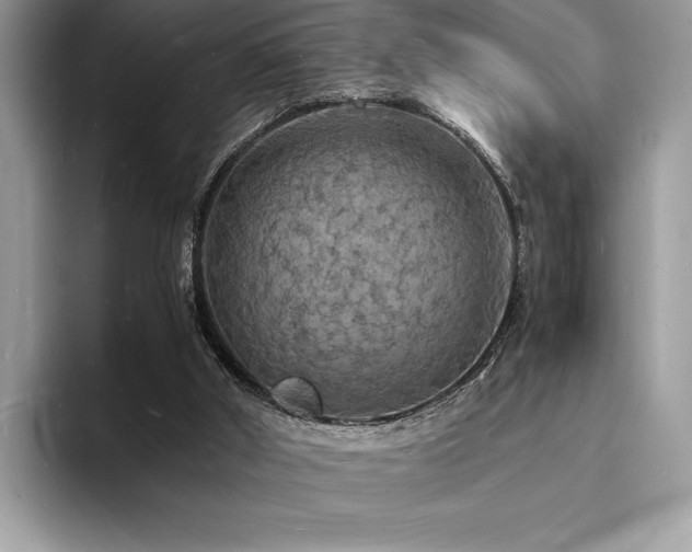 X0000094060010200710191110