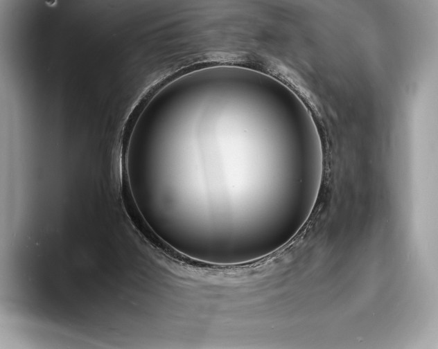 X0000094060011200710191110