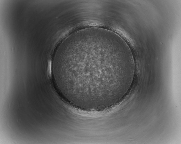 X0000094060014200710191110
