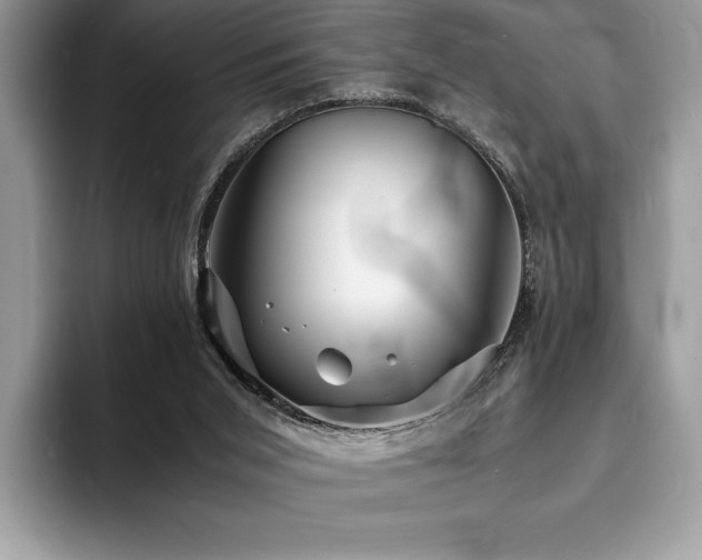 X0000094060015200710191110