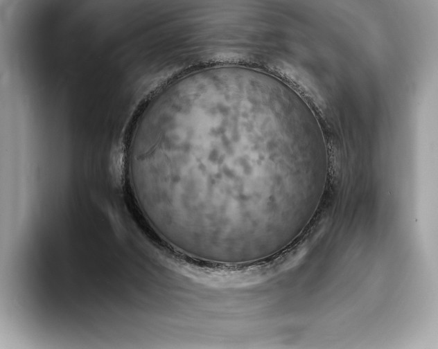 X0000094060016200710191110