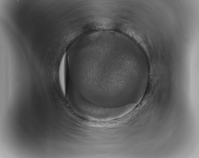 X0000094060017200710191110