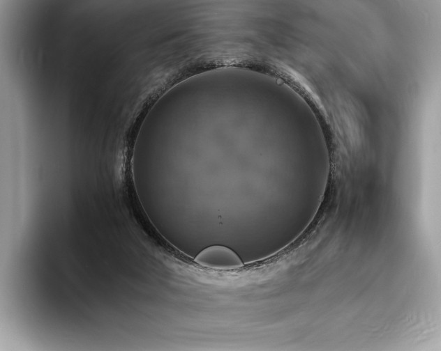 X0000094060018200710191110
