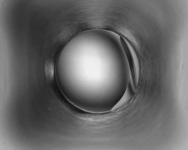 X0000094060021200710191110