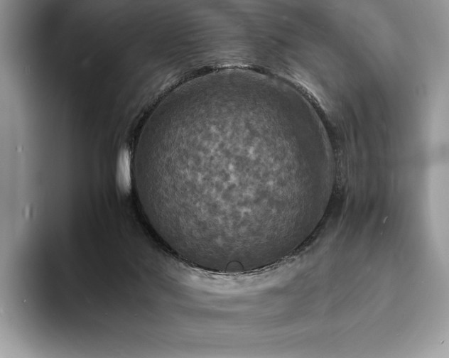 X0000094060022200710191110