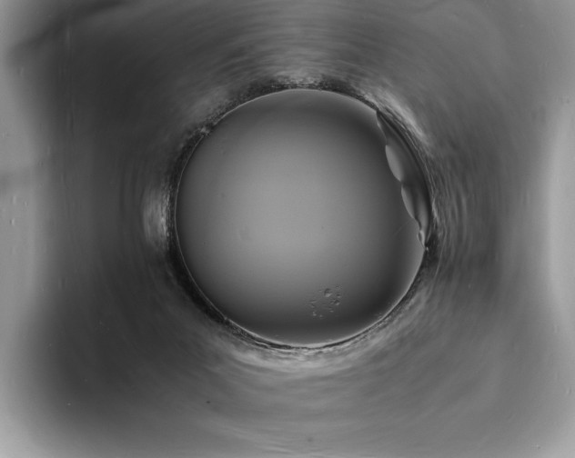 X0000094060023200710191110