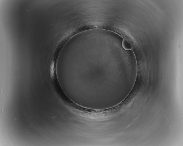 X0000094060024200710191109