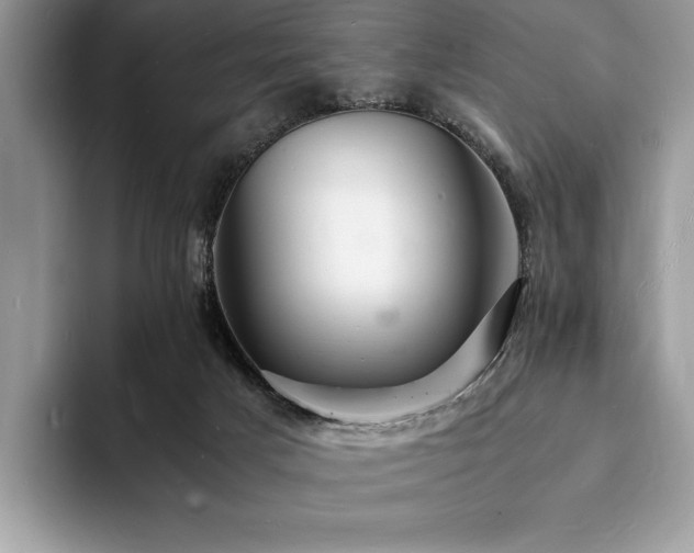 X0000094060025200710191109