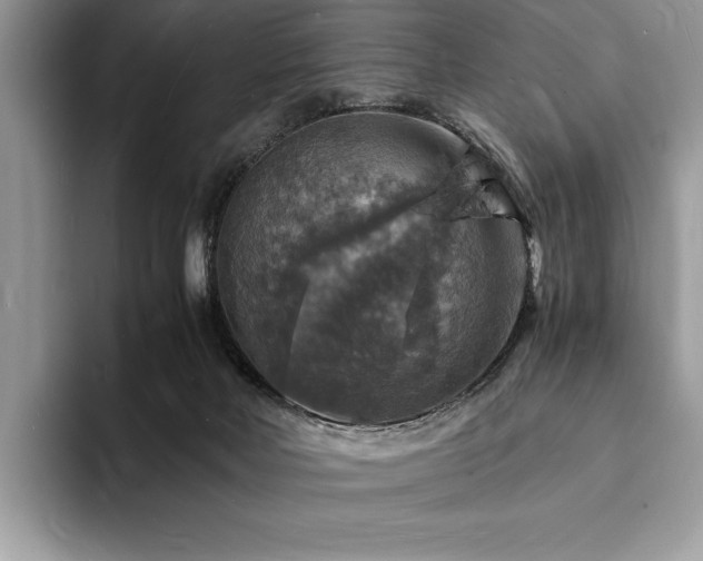 X0000094060026200710191109