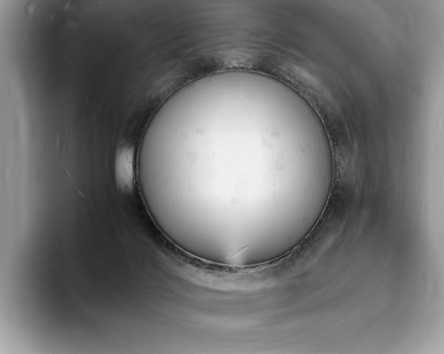 X0000094060028200710191109