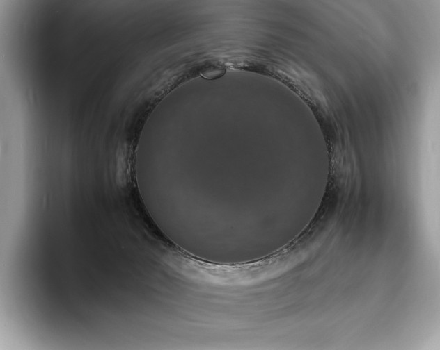X0000094060030200710191109