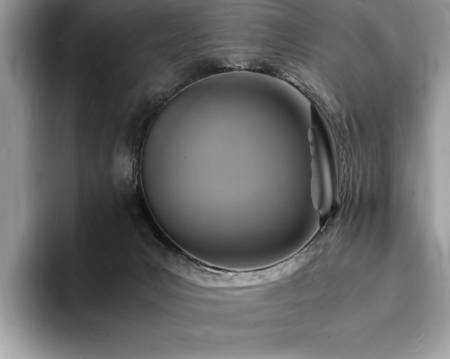 X0000094060031200710191109