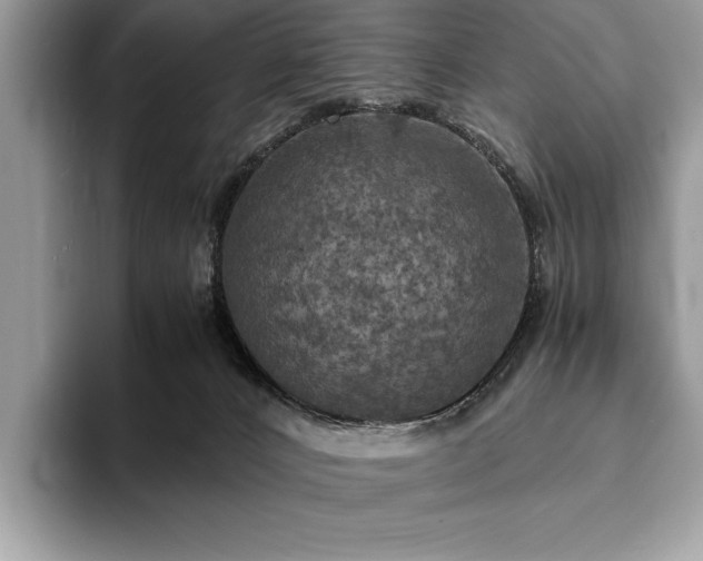 X0000094060032200710191109