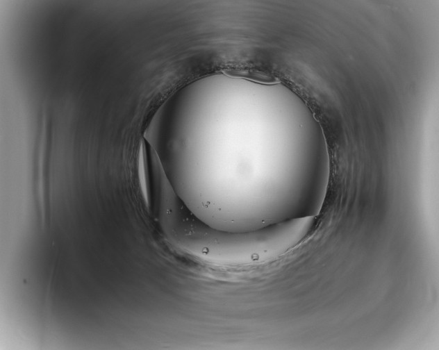 X0000094060033200710191109
