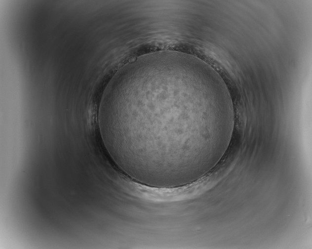 X0000094060034200710191109