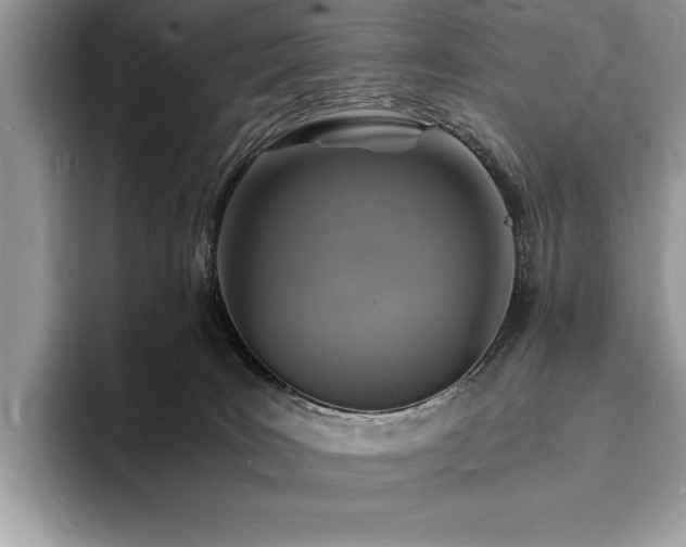 X0000094060035200710191109