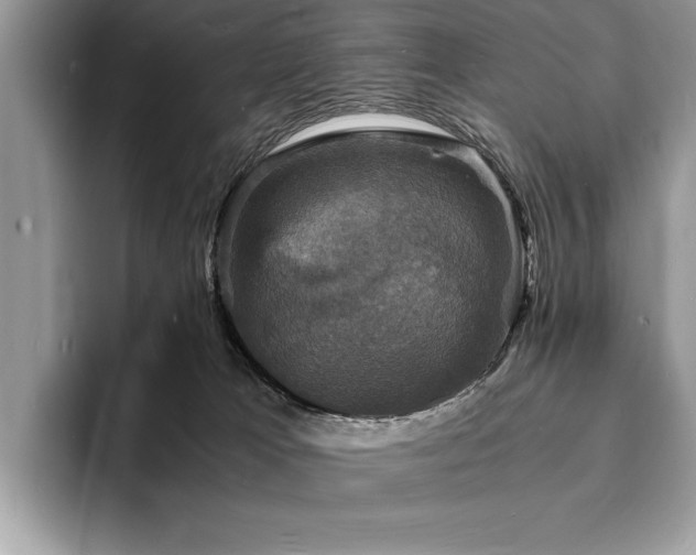 X0000094060037200710191109