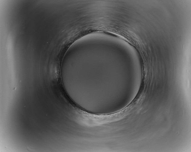 X0000094060039200710191109