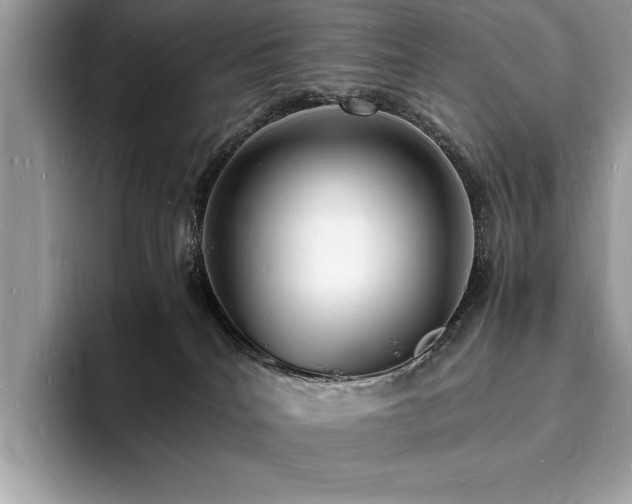 X0000094060040200710191109