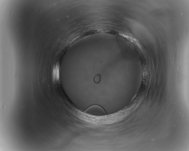 X0000094060046200710191109
