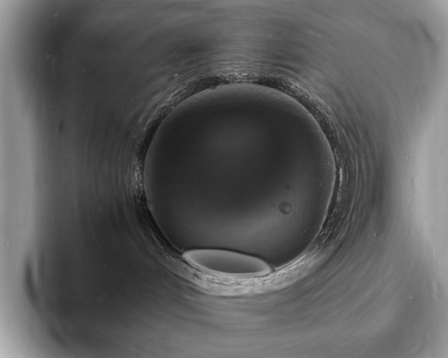 X0000094060048200710191109