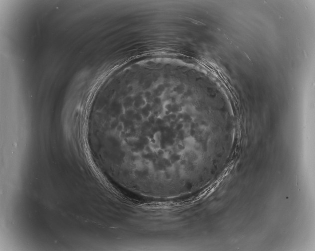 X0000094060049200710191109