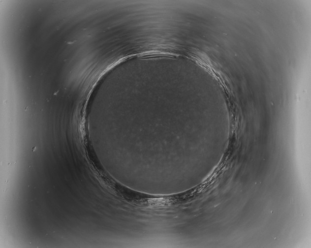 X0000094060050200710191109
