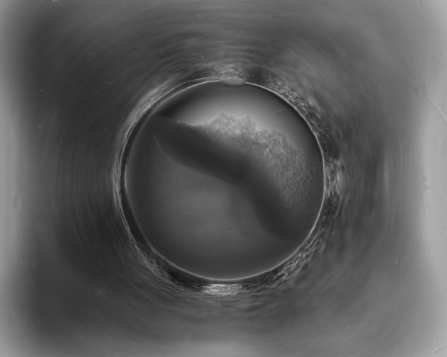X0000094060051200710191109