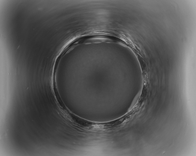 X0000094060052200710191109