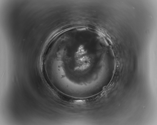 X0000094060053200710191109