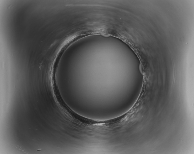 X0000094060054200710191109