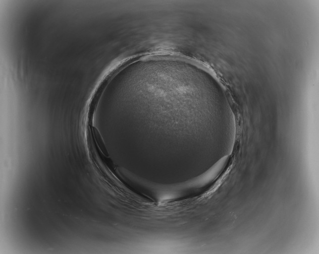 X0000094060056200710191109