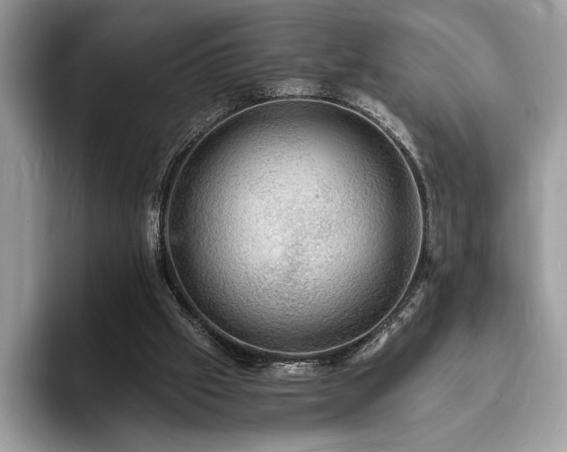 X0000094060057200710191109