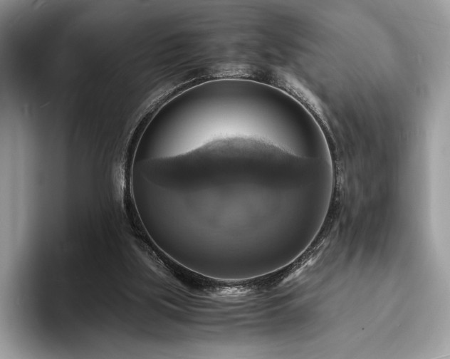 X0000094060059200710191109