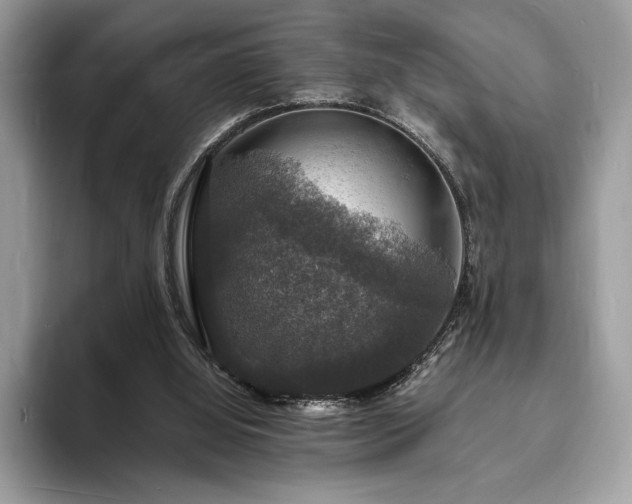 X0000094060060200710191109
