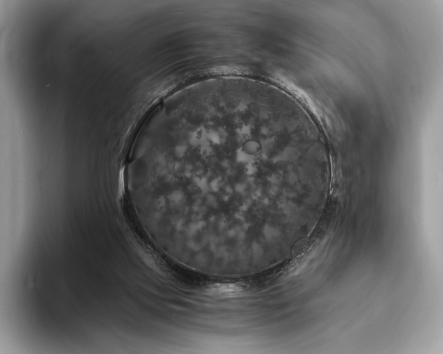 X0000094060061200710191109
