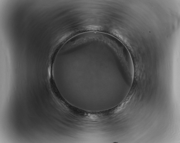 X0000094060062200710191109
