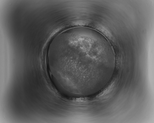X0000094060064200710191109