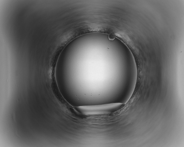 X0000094060066200710191109