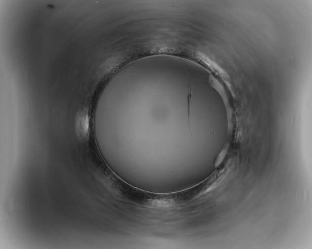 X0000094060067200710191109