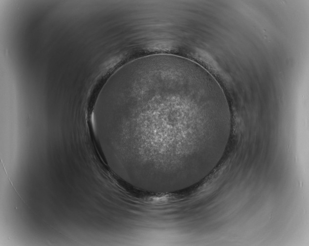 X0000094060068200710191109