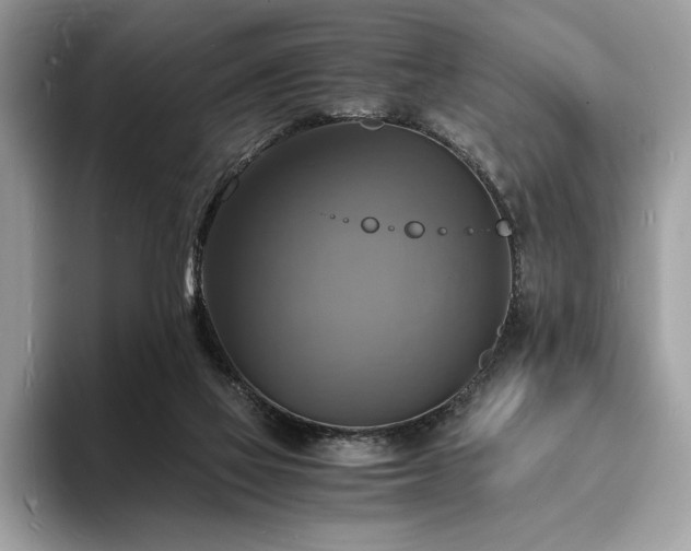 X0000094060069200710191109