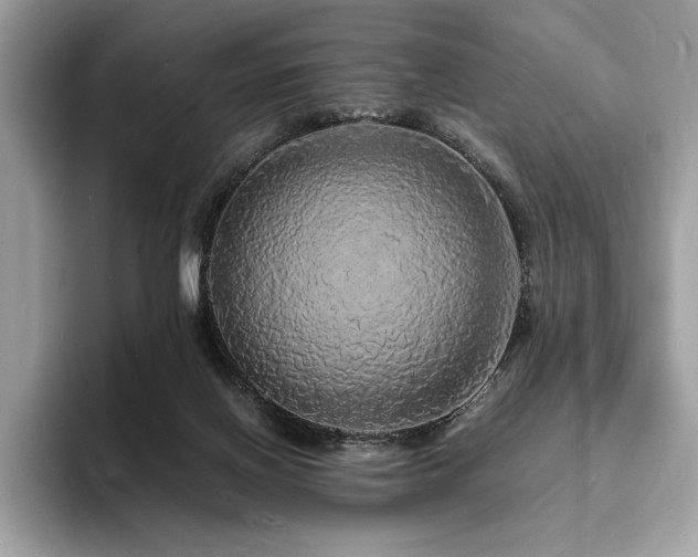 X0000094060070200710191109