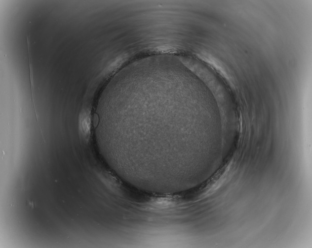 X0000094060072200710191109